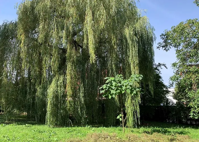 F80-die Feine Ferienwohnung Apartment Regensburg