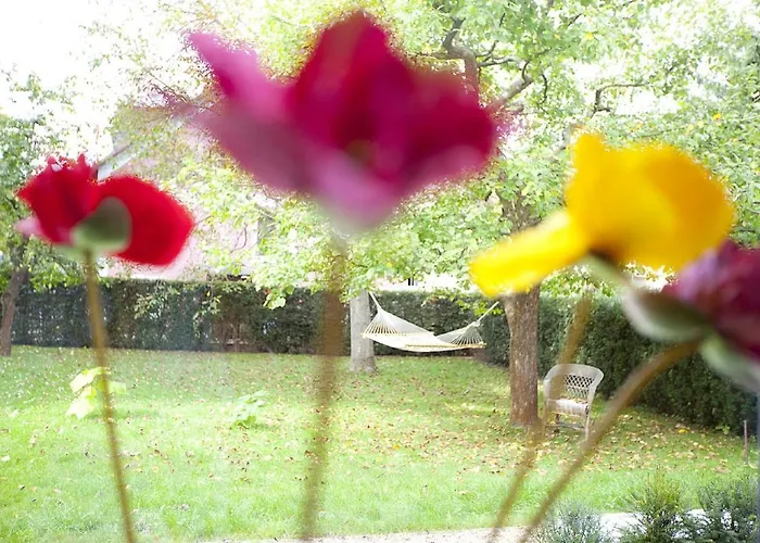 F80-die Feine Ferienwohnung Apartment